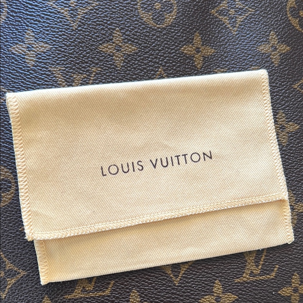 Louis Vuitton Small Dust Bag